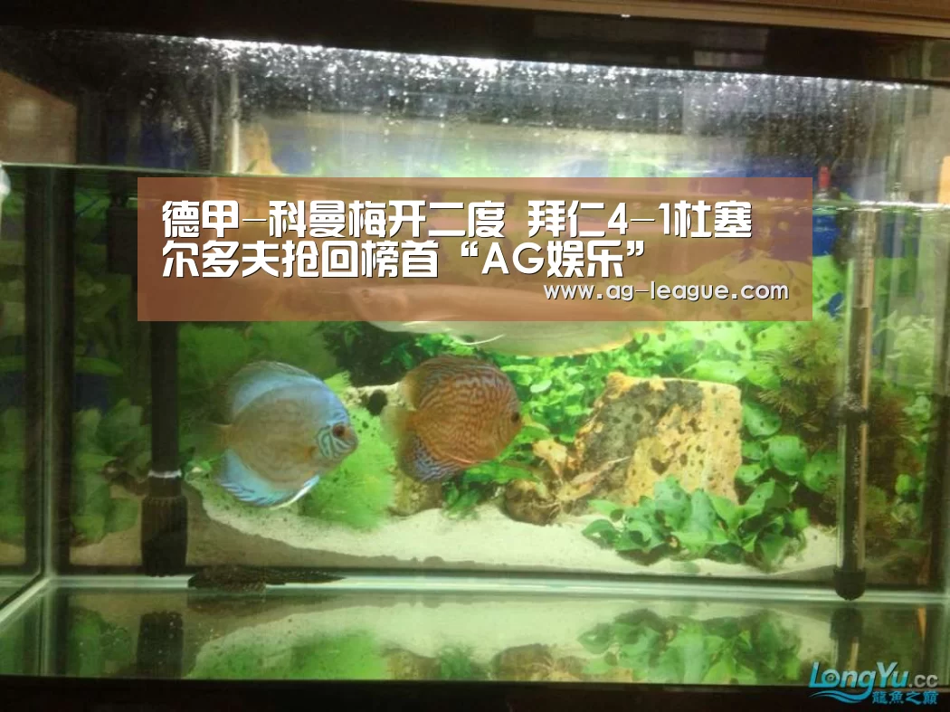 德甲-科曼梅开二度 拜仁4-1杜塞尔多夫抢回榜首“AG娱乐”(图1) AG真人