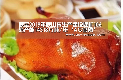 截至2019年底山东生产建设煤矿106处产能14318万吨/年‘AG官网’(图1) AG百家乐
